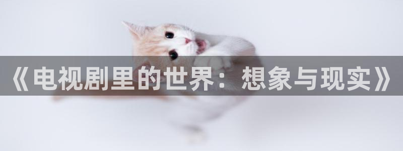 69视频在线观看免费：《电视剧里的世界：想象与现实》