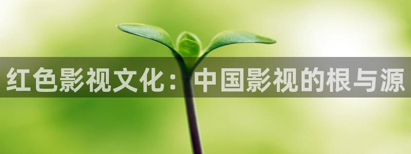 国产亲乱的性69视频