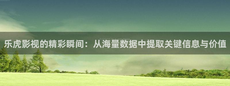 69视频久久久精品：乐虎影视的精彩瞬间：从海量数据中提取关键信息与价值