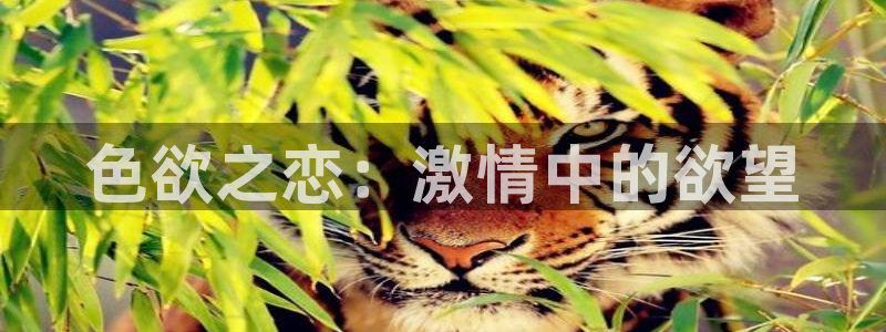 69视频3