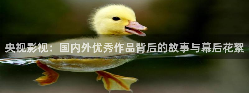 男男同性69视频：央视影视：国内外优秀作品背后的故事与幕后花絮
