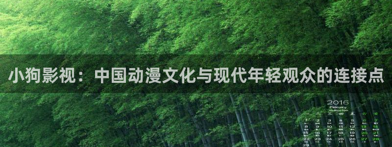 69视频永久免费观看：小狗影视：中国动漫文化与现代年轻观众的连接点