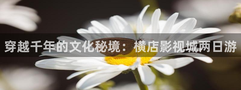 69视频电影